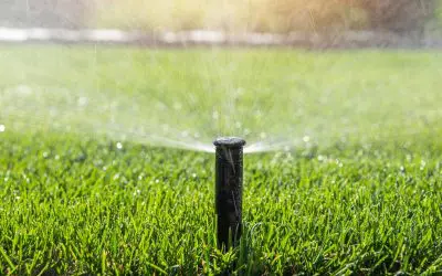 Watering Best Practices for Lawns in Southern NH