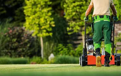Signs Your Lawn Needs a Pro (And Not Just a Weekend Warrior)