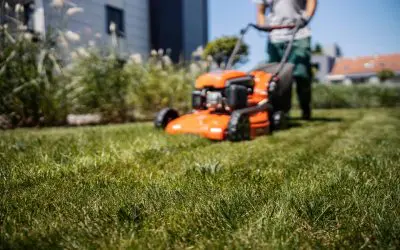 How Often Should You Mow Your Lawn in New Hampshire?
