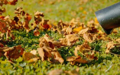 Fall Cleanups: What’s Included and Why You Should Schedule Now