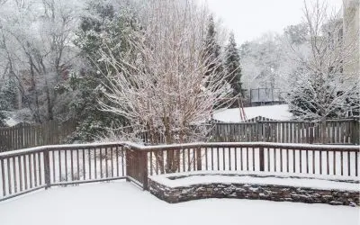 How Snow and Ice Impact Your Lawn And How to Protect It