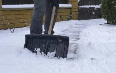 How to Winterize Your Lawn and Garden Like a Pro