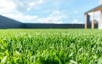 Spring Prep: When and How to Schedule Your Spring Clean-Up & Fertilization