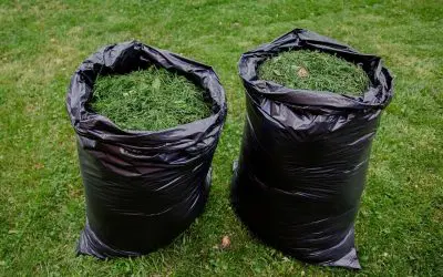 Should You Bag or Mulch Grass Clippings?