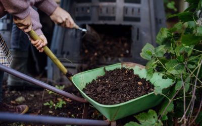 Composting Leaves and Yard Waste Safely Around Your Pets