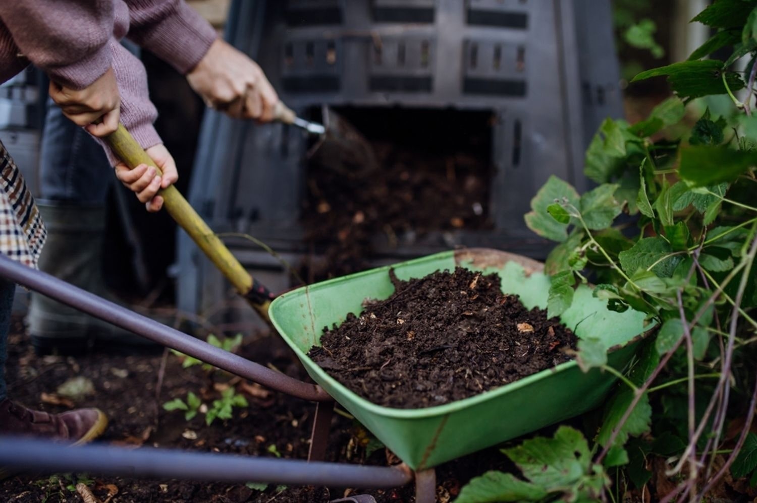 Gardeners fertilizing - lawn care services Epping NH