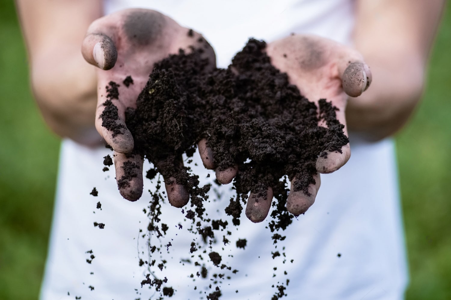 Hands showing dirt - landscaping rockingham county