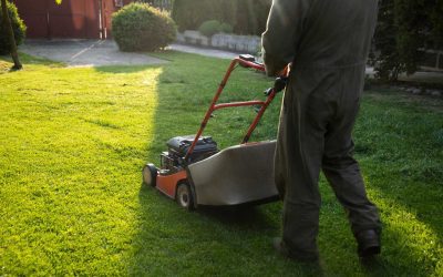 Summer Lawn Care: How to Keep Your Grass Green in the Heat