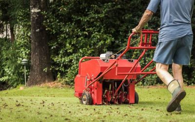 Fall Aeration: Why Your Lawn Needs It Before the Cold Hits