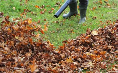 The Importance of Leaf Removal and Mulching in Fall