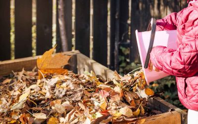 Creating a Leaf Compost Bin for a Healthier Lawn Next Spring
