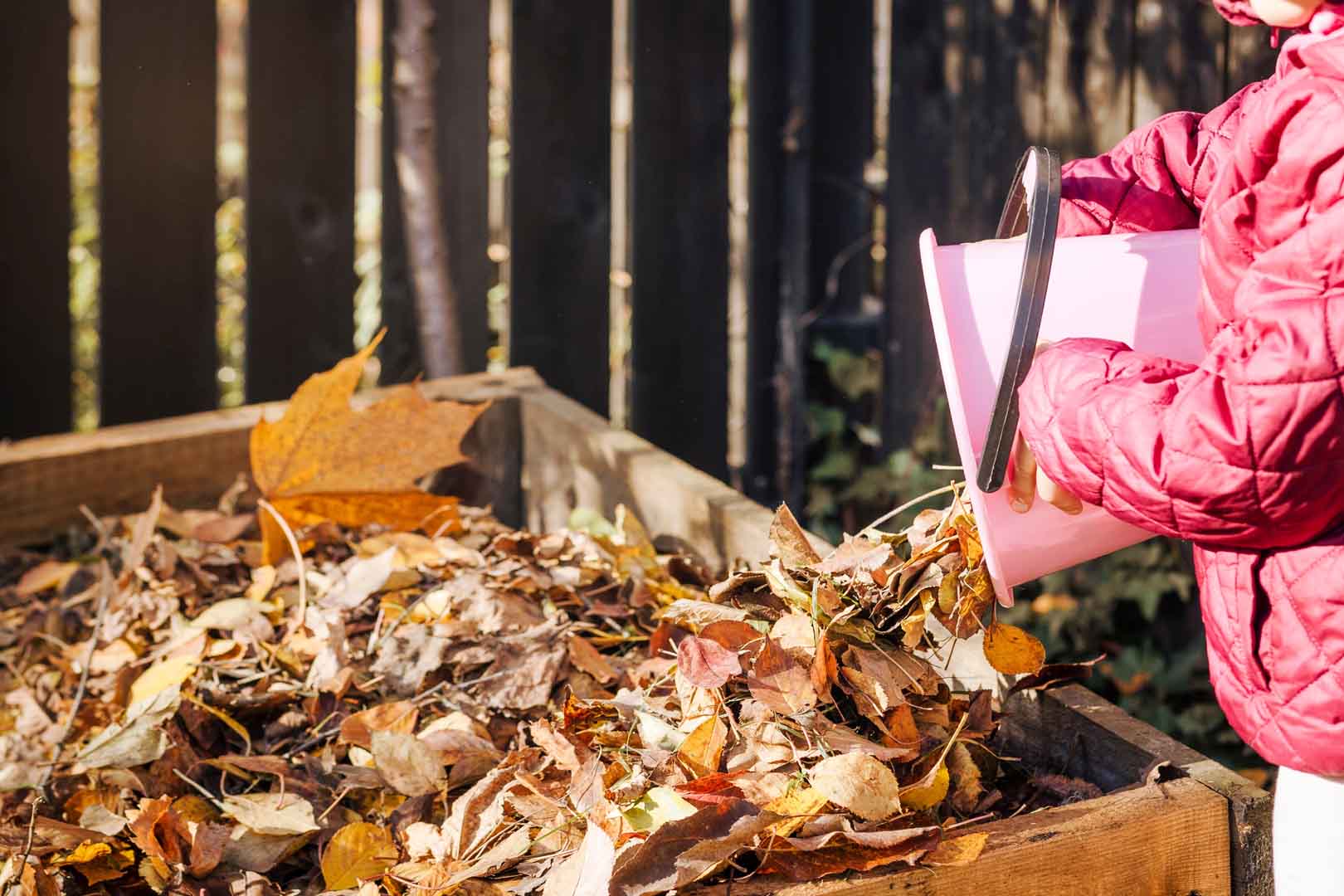 Compost,Autumn,Leaves.,Throwing,Fallen,Leaves,In,Compost,Bin,In